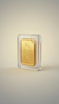 10 g Gold Ingot Tamper-Proof Case